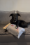 Ručník pro mazlíčky PET TOWEL CHOMCHOMI - Šedý - Velikost: L 80 x 160cm
