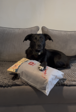 Ručník pro mazlíčky PET TOWEL CHOMCHOMI - Šedý